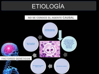ETIOLOGÍA
Etiología infecciosa
Virus de Epstein Barr
Hermanos de las
personas con linfoma
de Hodgkin tienen
una probabilidad más
alta, aunque aún
pequeña, de
desarrollar la
enfermedad
Alta tasa de curación
Se presenta en gente
joven y >50
Más frecuente en
sexo masculino
 