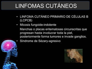 LINFOMAS CUTÁNEOS
• LINFOMA CUTÁNEO PRIMARIO DE CÉLULAS B
(LCPCB)
• Micosis fungoide-indolente
Manchas o placas eritematosas circunscritas que
progresan hasta involucrar toda la piel,
posteriormente forma tumores e invade ganglios.
• Síndrome de Sézary-agresivo
 