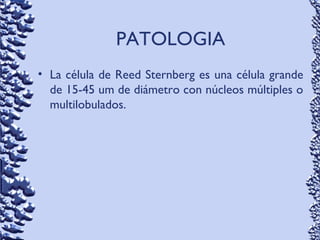 PATOLOGIA
• La célula de Reed Sternberg es una célula grande
de 15-45 um de diámetro con núcleos múltiples o
multilobulados.
 