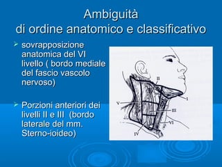 Latin Dictionary and Grammar main image 0