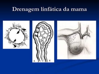 Drenagem linfática da mama 