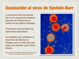 Asociación al virus de Epstein-Barr 
La presencia del virus Epstein 
Barr se ha encontrado mediante 
Reacción de Polimerasa en 
Cadena en los tejidos afectados. 
! 
Presentaría características de 
replicación monoclonal. 
! 
Se considera que contribuye al 
desarrollo del linfoma de 
Hodgkin, pero no está claro que 
tenga una relación causa-efecto 
directa. 
Flavell KJ, Murray PG. Hodgkin's disease and the Epstein-Barr 
virus. Mol Pathol. 2000 October; 53(5): 262–269. 
 
