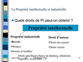 La Propriété intellectuelle et industrielle Quels droits de PI peut-on obtenir ? Propriété intellectuelle Propriété industrielle Brevets Marques Dessins et modèles Droit d’auteur Droits des auteurs Droits voisins Droits spécifiques (bases de données, obtentions végétales, savoir-faire…) 