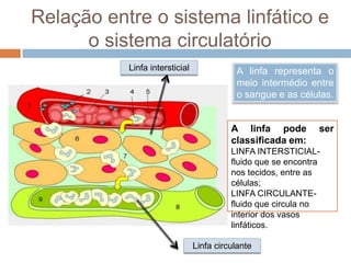linfático