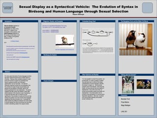 Sexual Display as a Syntactical Vehicle:  The Evolution of Syntax in Birdsong and Human Language through Sexual Selection Kazuo Okanoya Embedded Song Chart The Bengalese Finch and the White Tail Munia Talking with the Animals? Abstract Introduction Modifying the Headers Diagrams, Visuals, and Examples Charts & Graphs Presenters Other Opinions and Studies Intro to Psycholinguistics October 26 th , 2006 Article Presentation http://www.insightmatters.com/FinchNoise.htm “ Sexual selection  depends on the  success of certain individuals  over others of the same sex, in relation to the propagation of the species; while  natural selection  depends on the success of both sexes, at all ages, in relation to the general conditions of life.” — Charles Darwin , 1871 Finite-state grammar generates sentences by going directly  from left to right:  “ an INITIAL ELEMENT is selected, and thereafter the possibilities of occurrence of all other elements are wholly  determined by the nature of the elements preceding them.” A sentence that can be generated by  finite-state grammar : ” John saw the cat.” A sentence that CANNOT be generated by  finite-state grammar : “ John, who saw the cat, is coming.” Structure of a Hypothetical Bengalese Finch song: Four parts A, B,C, D, all containing many notes. song variation 1: ABABBBABABC song variation 2: ABABBAAABAD   For many years the study of human language evolution has been viewed through the lens of either Darwin or Chomsky.  Okanoya uses correlating research in both birds and humans to support his hypothesis that Darwin’s gradual evolution and Chomsky’s catastrophism can be reconciled.  The basis for Okanoya’s argument comes from the proposition that the evolution of syntax through sexual display was gradual and the addition of semantic value to the existing syntactical form was catastrophic.  The article suggests that after syntax was already in place after sexual selection it then became a way of expressing.  It is assumed that there was no inherent survival significance in the evolution of syntax and this can help answer the question as to why humans have language capabilities that other animals do not.  Eventually the article explains the difference between the human ability to divorce signals from their environment and use them to refer to something outside of its original context.  Brendan Ford Priya Mishra Megs Madigan LING 301 “ It is now possible to answer the question, can animals talk? If in order to qualify as ‘talkers’ they [animals] have to utilize all the design characteristics of human language ‘naturally,’ the answer is clearly ‘no.’  Some animals possess some of the features.  Bird song has duality, and bee dancing has some degree of displacement.  But as far as we know, no animal communication system has duality  and  displacement.  No animal system can be proved to have semanticity or to use structure-dependent operations.  Above all, no animal can communicate creatively with another animal” (Aitchison 34). 