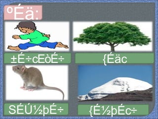 ºÉä:
-
±É÷cEòÉ÷
SÉÚ½þÉ÷
{Éäc
{É½þÉc÷
 