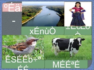 ±ÉcEò
Ò
xÉnùÒ
ºÉä:
-
ÊSÉÊb÷ª
MÉÉªÉ
 