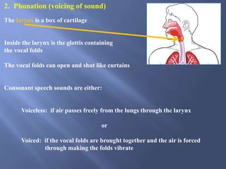 LING 103 2017 Phonetics 1.ppt | Ear, Nose and Throat Conditions ...