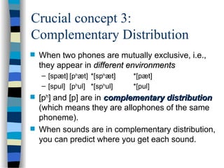 Phonology: The study of sound patterns in language | PPT