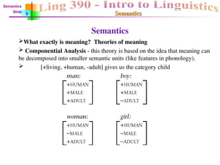 Semantics
Semantics
Semantics
What exactly is meaning? Theories of meaning
 Componential Analysis - this theory is based on the idea that meaning can
be decomposed into smaller semantic units (like features in phonology).
 [+living, +human, -adult] gives us the category child
Semantics
Slide
9
 