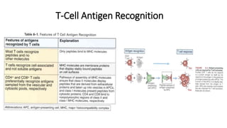 T-Cell Antigen Recognition
 