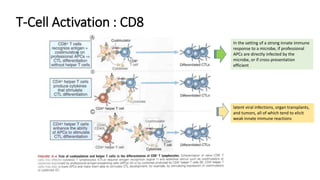 T-Cell Activation : CD8
latent viral infections, organ transplants,
and tumors, all of which tend to elicit
weak innate immune reactions
In the setting of a strong innate immune
response to a microbe, if professional
APCs are directly infected by the
microbe, or if cross-presentation
efficient
 