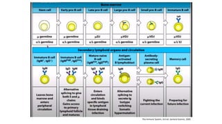 The Immune System, 3rd ed. Garland Science, 2009
 