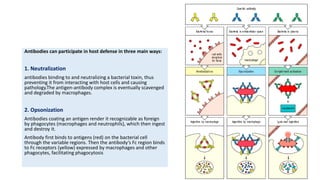 Antibodies can participate in host defense in three main ways:
1. Neutralization
antibodies binding to and neutralizing a bacterial toxin, thus
preventing it from interacting with host cells and causing
pathology.The antigen-antibody complex is eventually scavenged
and degraded by macrophages.
2. Opsonization
Antibodies coating an antigen render it recognizable as foreign
by phagocytes (macrophages and neutrophils), which then ingest
and destroy it.
Antibody first binds to antigens (red) on the bacterial cell
through the variable regions. Then the antibody’s Fc region binds
to Fc receptors (yellow) expressed by macrophages and other
phagocytes, facilitating phagocytosis
 