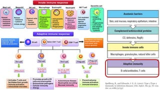 Spellberg, B., and Edwards, J. E. Jr. (2001). Type 1/Type 2
immunity in infectious diseases. Clin. Infect. Dis 32, 76–102.
doi: 10.1086/317537
 