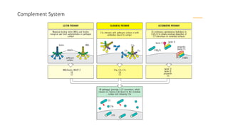 Complement System
 