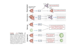 Lingga Adaptive Imun.pptx