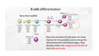 Lingga Adaptive Imun.pptx