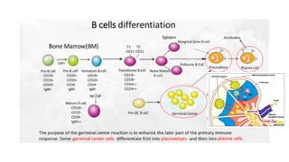Lingga Adaptive Imun.pptx
