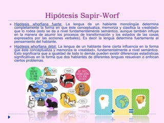 Hipótesis Sapir-Worf
 Hipótesis whorfiana fuerte: La lengua de un hablante monolingüe determina
completamente la forma en que éste conceptualiza, memoriza y clasifica la «realidad»
que lo rodea (esto se da a nivel fundamentalmente semántico, aunque también influye
en la manera de asumir los procesos de transformación y los estados de las cosas
expresados por las acciones verbales). Es decir la lengua determina fuertemente el
pensamiento del hablante.
 Hipótesis whorfiana débil: La lengua de un hablante tiene cierta influencia en la forma
que éste conceptualiza y memoriza la «realidad», fundamentalmente a nivel semántico.
Esto significaría que a igualdad de todo lo demás pueden existir diferencias estadísticas
significativas en la forma que dos hablantes de diferentes lenguas resuelven o enfocan
ciertos problemas.
 