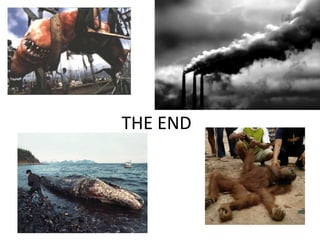 Litter, waste management