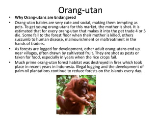 Invasive species- i.e cane toads, rabbits etc