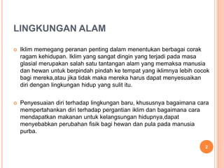 LINGKUNGAN ALAM
 Iklim memegang peranan penting dalam menentukan berbagai corak
ragam kehidupan. Iklim yang sangat dingin yang terjadi pada masa
glasial merupakan salah satu tantangan alam yang memaksa manusia
dan hewan untuk berpindah pindah ke tempat yang iklimnya lebih cocok
bagi mereka,atau jika tidak maka mereka harus dapat menyesuaikan
diri dengan lingkungan hidup yang sulit itu.
 Penyesuaian diri terhadap lingkungan baru, khususnya bagaimana cara
mempertahankan diri terhadap pergantian iklim dan bagaimana cara
mendapatkan makanan untuk kelangsungan hidupnya,dapat
menyebabkan perubahan fisik bagi hewan dan pula pada manusia
purba.
2
 