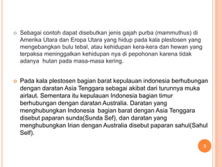  Sebagai contoh dapat disebutkan jenis gajah purba (mammuthus) di
Amerika Utara dan Eropa Utara yang hidup pada kala plestosen yang
mengebangkan bulu tebal, atau kehidupan kera-kera dan hewan yang
terpaksa meninggalkan kehidupan nya di pepohonan karena tidak
adanya hutan pada masa-masa kering.
 Pada kala plestosen bagian barat kepulauan indonesia berhubungan
dengan daratan Asia Tenggara sebagai akibat dari turunnya muka
airlaut. Sementara itu kepulauan Indonesia bagian timur
berhubungan dengan daratan Australia. Daratan yang
menghubungkan Indonesia bagian barat dengan Asia Tenggara
disebut paparan sunda(Sunda Sef), dan daratan yang
menghubungkan Irian dengan Australia disebut paparan sahul(Sahul
Self).
3
 
