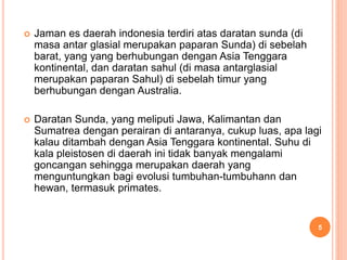  Jaman es daerah indonesia terdiri atas daratan sunda (di
masa antar glasial merupakan paparan Sunda) di sebelah
barat, yang yang berhubungan dengan Asia Tenggara
kontinental, dan daratan sahul (di masa antarglasial
merupakan paparan Sahul) di sebelah timur yang
berhubungan dengan Australia.
 Daratan Sunda, yang meliputi Jawa, Kalimantan dan
Sumatrea dengan perairan di antaranya, cukup luas, apa lagi
kalau ditambah dengan Asia Tenggara kontinental. Suhu di
kala pleistosen di daerah ini tidak banyak mengalami
goncangan sehingga merupakan daerah yang
menguntungkan bagi evolusi tumbuhan-tumbuhann dan
hewan, termasuk primates.
5
 