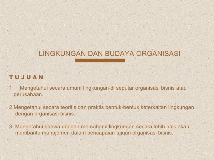 Lingkungan Dan Budaya Organisasi