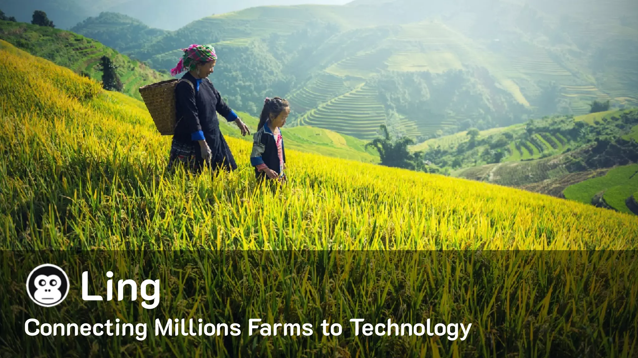 Connecting Millions Farms to Technology
Ling