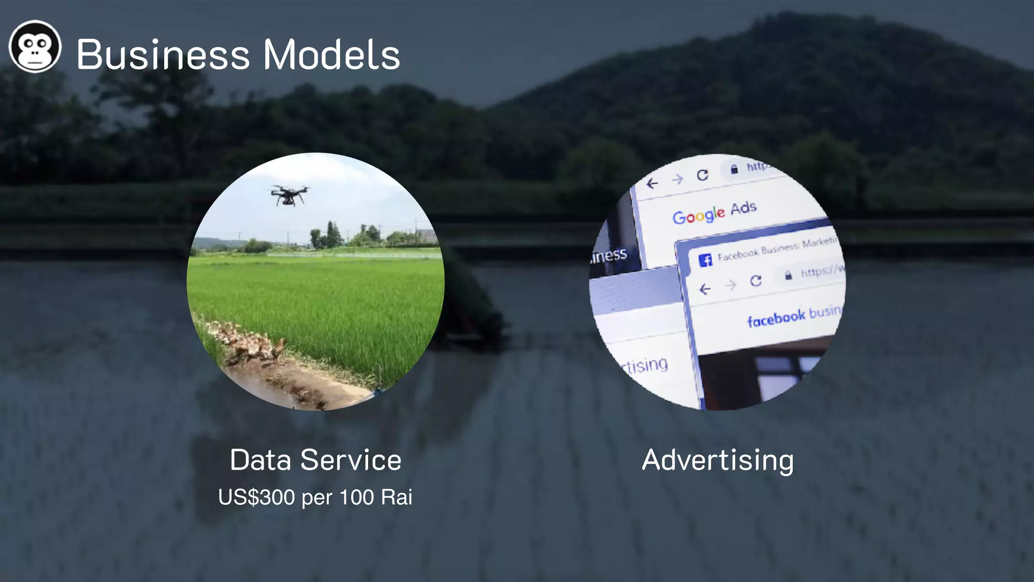 Business Models
Data Service
US$300 per 100 Rai
Advertising