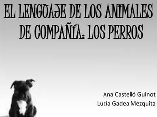 EL LENGUAJE DE LOS ANIMALES
   DE COMPAÑÍA: LOS PERROS


                  Ana Castelló Guinot
                Lucía Gadea Mezquita
 
