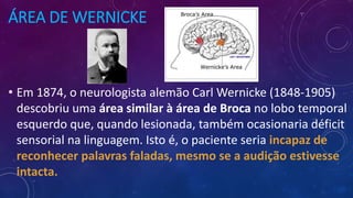 ÁREA DE WERNICKE
• Em 1874, o neurologista alemão Carl Wernicke (1848-1905)
descobriu uma área similar à área de Broca no lobo temporal
esquerdo que, quando lesionada, também ocasionaria déficit
sensorial na linguagem. Isto é, o paciente seria incapaz de
reconhecer palavras faladas, mesmo se a audição estivesse
intacta.
 
