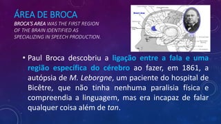 ÁREA DE BROCA
BROCA'S AREA WAS THE FIRST REGION
OF THE BRAIN IDENTIFIED AS
SPECIALIZING IN SPEECH PRODUCTION.
• Paul Broca descobriu a ligação entre a fala e uma
região específica do cérebro ao fazer, em 1861, a
autópsia de M. Leborgne, um paciente do hospital de
Bicêtre, que não tinha nenhuma paralisia física e
compreendia a linguagem, mas era incapaz de falar
qualquer coisa além de tan.
 