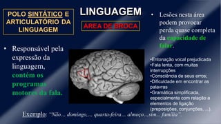 LINGUAGEM
ÁREA DE BROCA
• Responsável pela
expressão da
linguagem,
contém os
programas
motores da fala.
Exemplo: “Não… domingo,… quarta-feira… almoço…sim... família”.
• Lesões nesta área
podem provocar
perda quase completa
da capacidade de
falar.
•Entonação vocal prejudicada
•Fala lenta, com muitas
interrupções
•Consciência de seus erros;
•Dificuldade em encontrar as
palavras
•Gramática simplificada,
especialmente com relação a
elementos de ligação
(preposições, conjunções, ...).
 