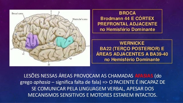 Broca