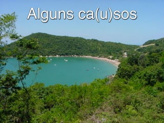 Alguns ca(u)sos
 