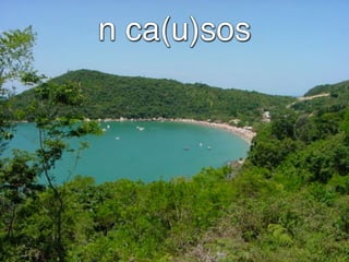 n ca(u)sos
 