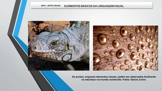 Os pontos, enquanto elementos visuais, podem ser observados facilmente
na natureza e no mundo construído. Fotos: Garcia Junior.
ARTE – ARTES VISUAIS ELEMENTOS BÁSICOS DA LINGUAGEMVISUAL
 