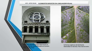 As formas geométricas que observamos no
mundo real são construídas pelo ser humano.
Foto: Garcia Junior.
As formas orgânicas são facilmente
observadas na natureza. Foto: Garcia Junior.
ARTE – ARTES VISUAIS ELEMENTOS BÁSICOS DA LINGUAGEMVISUAL
 