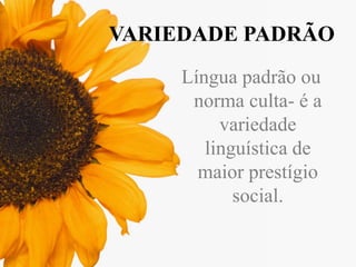 VARIEDADE PADRÃO
Língua padrão ou
norma culta- é a
variedade
linguística de
maior prestígio
social.

 
