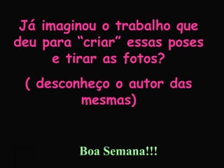 Já imaginou o trabalho que deu para “criar” essas poses e tirar as fotos? ( desconheço o autor das mesmas) Boa Semana!!! 