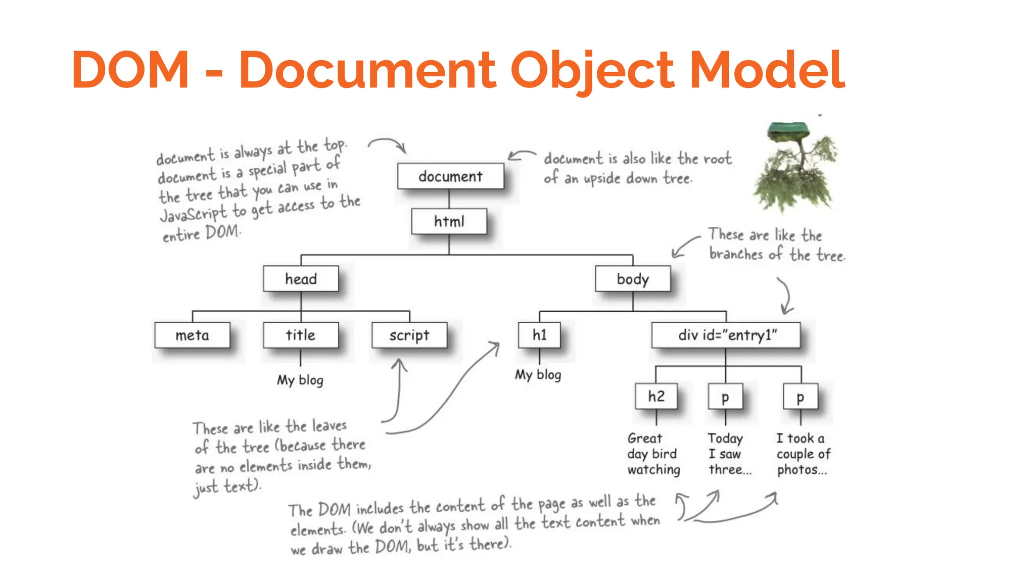DOM - Document Object Model
 