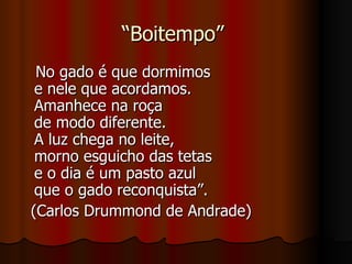 “ Boitempo”  No gado é que dormimos e nele que acordamos. Amanhece na roça de modo diferente. A luz chega no leite, morno esguicho das tetas e o dia é um pasto azul que o gado reconquista”. (Carlos Drummond de Andrade) 