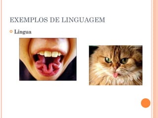 EXEMPLOS DE LINGUAGEM Língua 