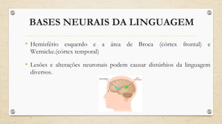 BASES NEURAIS DA LINGUAGEM
• Hemisfério esquerdo e a área de Broca (córtex frontal) e
Wernicke.(córtex temporal)
• Lesões e alterações neuronais podem causar distúrbios da linguagem
diversos.
 