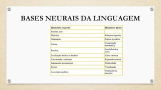BASES NEURAIS DA LINGUAGEM
 