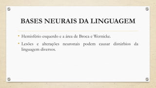 BASES NEURAIS DA LINGUAGEM
• Hemisfério esquerdo e a área de Broca e Wernicke.
• Lesões e alterações neuronais podem causar distúrbios da
linguagem diversos.
 