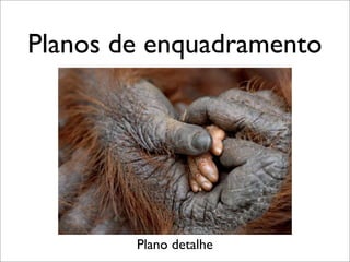Planos de enquadramento




        Plano detalhe
 